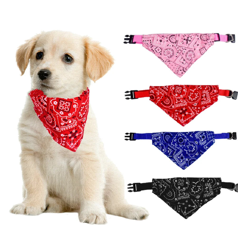 Bandana De Couro Ajustável Para Pets